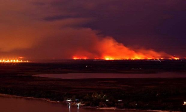 Nación, Santa Fe y Entre Ríos avanzarían en una reserva nacional por los incendios en el Delta del Paraná