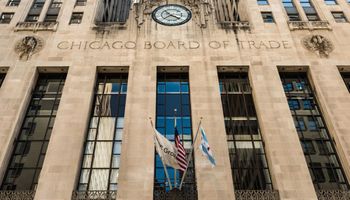 Tercera rueda consecutiva con subas para la soja en el mercado de Chicago