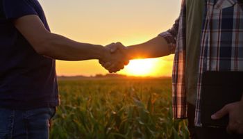 Los dos hermanos productores, uno se fundía y el otro compraba campo: ¿En dónde está la diferencia?