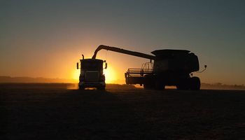 Nueva variante de Covid: el maíz logró revetir el viernes negro de los mercados