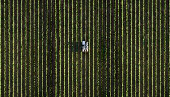 A partir de hoje, parte do agro brasileiro ganha alívio em US$ 709 milhões de exportações 