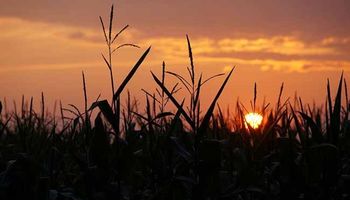 ¿Siguen las heladas? Cómo se perfila el clima para el agro en primavera 