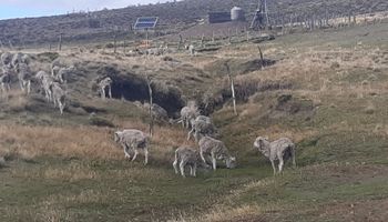 El Gobierno declara la emergencia agropecuaria por sequía en Buenos Aires y Río Negro