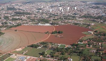 Café, laranja e jabuticaba: como o agro deu nome a cidades paulistas