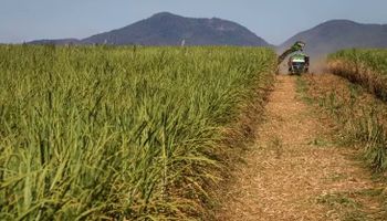 Jalles Machado encerra moagem da safra 2025/2026 com maior área colhida e menor volume processado