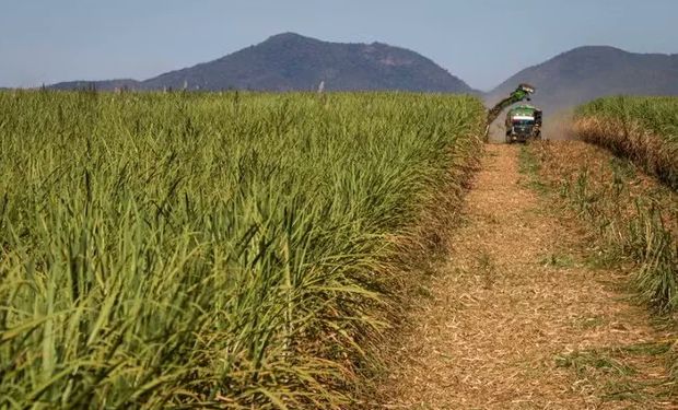 Jalles Machado encerra moagem da safra 2025/2026 com maior área colhida e menor volume processado