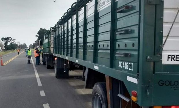 El Gobierno estableció facilidades en el pago de multas para transportistas de carnes y granos 