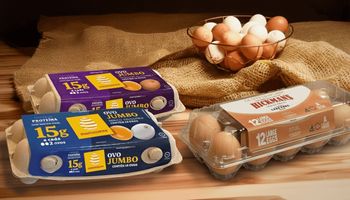 JBS e Mantiqueira fecham a compra da produtora de ovos Hickman's Egg Ranch nos EUA