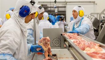 JBS investirá US$ 70 milhões na produção de frangos no Paraguai