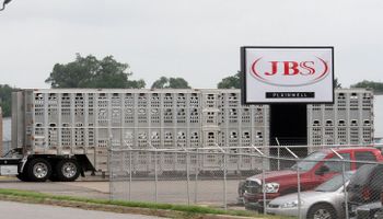 JBS comenzó 2015 con una ganancia extraordinaria