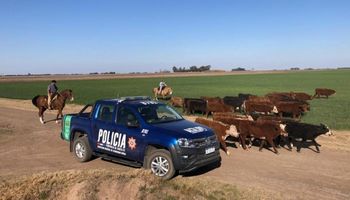 Inseguridad rural: Santa Fe presentó una mesa de trabajo para avanzar en la prevención, investigación, represión y condena de los delitos