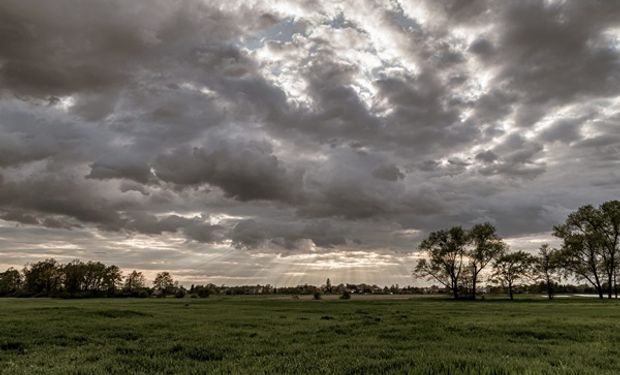 Nuevas lluvias en el horizonte: qué dice el pronóstico para el agro y cuáles son los acumulados
