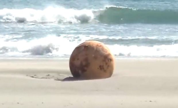 Bola de hierro en Japón: investigan una misteriosa esfera encontrada en una playa