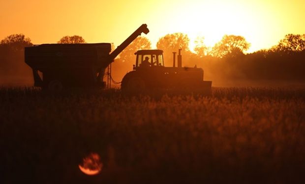 Ambiente húmedo, pero sin lluvias: día por día, qué dice el pronóstico del tiempo para el agro