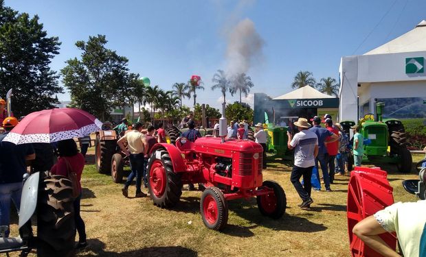 Geralmente, leva cerca de um ano para restaurar uma dessas relíquias. (foto - Agrofy News)