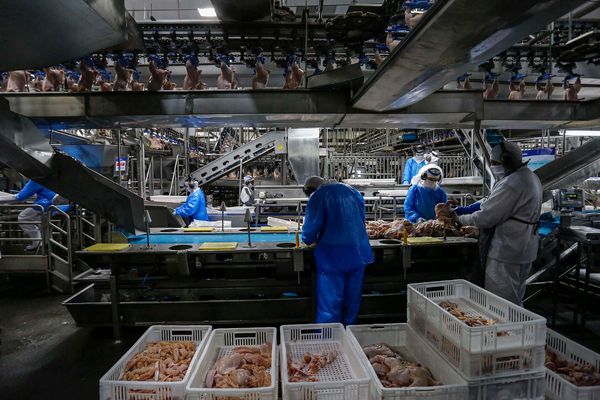 parana-pacote-agro-leite-aves-2025-medidas-pacote