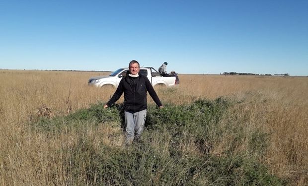 Un sobrino le dio la idea y sumó un cultivo que sobrevivió a la sequía: logra hasta 5.000 kilos de materia seca por hectárea