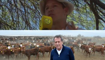La emoción de Jorge Brito al recordar a su padre en el primer remate de Juramento: "Mi viejo se enamoró de este campo, desde algún lado lo está viendo"