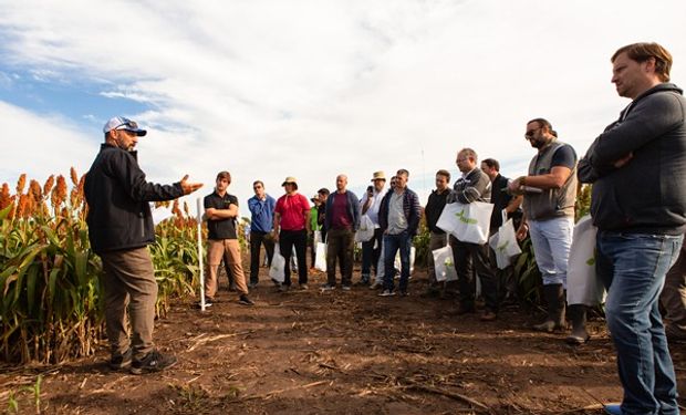 Jornada a Campo Nussed: nuevas alternativas para nutrición animal e innovaciones en su portfolio