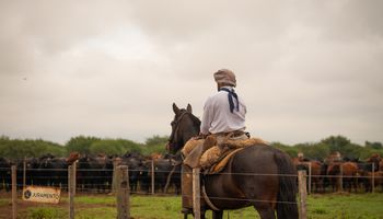 Tienen más de 90 mil hectáreas, un rodeo de 70 mil cabezas y producen carne premium en Salta: la millonaria inversión que concretaron para seguir creciendo desde el norte argentino
