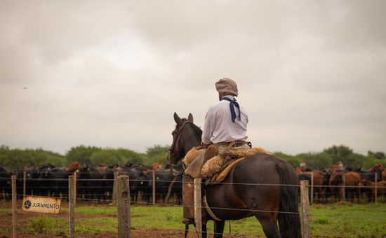 “En estas tierras estuvieron los pioneros del desarrollo de la actividad en la región", destacó un referente de Juramento