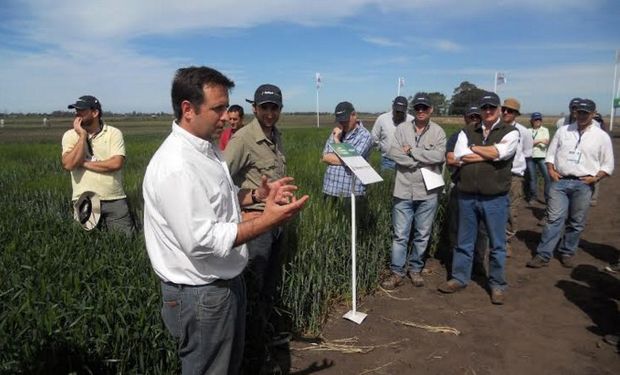 Ing. Leandro Barcos explicando tratamiento de semillas en trigo. Fuente: Agroagencia.