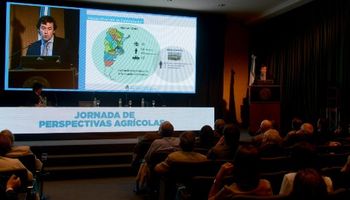 Récord: estiman una cosecha de 130 millones de toneladas