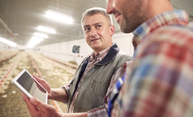Objetivo é conectar soluções com investidores e ajudar o agronegócio brasileiro. (foto - Freepik)