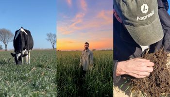 El tambero que sin saberlo apostó hace más de 30 años por un manejo que vive un boom y hoy cosecha mucho más que granos y leche