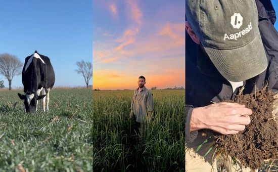 La historia de la familia Tibaldi en Santa Fe está llena de errores y aciertos, pero sobre todo de intuición y resiliencia que no admite recetas