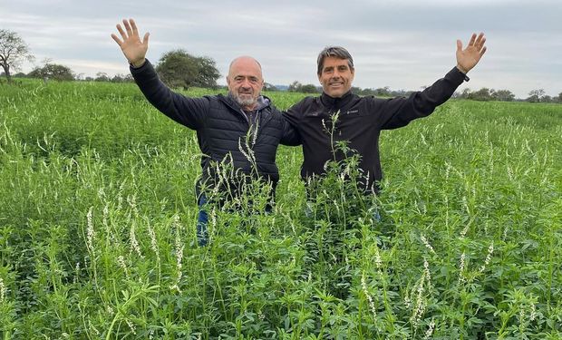 Juan Elizalde junto a Sebastián Riffel: juntos forman Elizalde Riffel, consultores en producción ganadera.