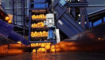 Fábrica de jugos inagurada en septiembre ya exporta a Sudáfrica y Dinamarca
