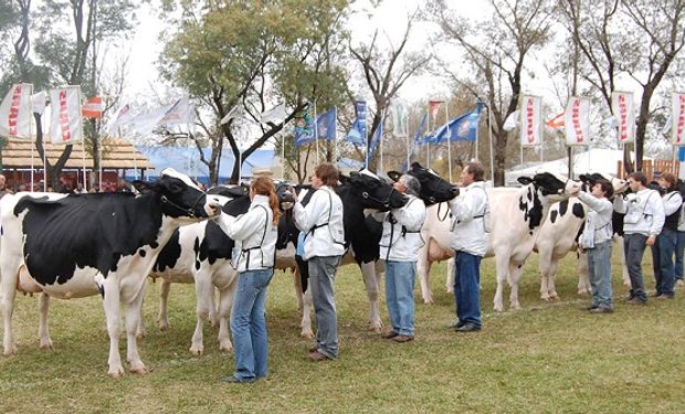 Cuándo es TodoLáctea, el encuentro cumbre de la lechería: habrá desde concurso de quesos con ojos hasta juras, capacitaciones, remates y un tour por tambos