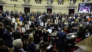 Juraron 130 nuevos diputados: cómo quedó representado el sector agropecuario