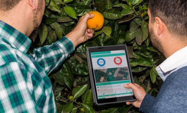 Una startup argentina ayudará a dos mil micro-agricultores a cuidar el agua