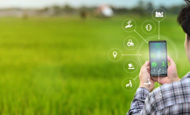 Plataforma PUMA compró una startup de inteligencia artificial aplicada a imágenes satelitales que permite identificar uso del suelo