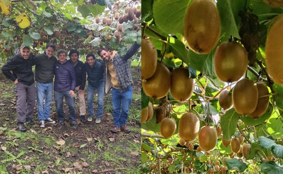 El proyecto está a cargo de la Chacra Innova de Aapresid y tiene como objetivo armar un fideicomiso; el objetivo es aprovechar las condiciones ideales de la zona para producir un cultivo de nicho con gran demanda internacional pero poco consumido a nivel local