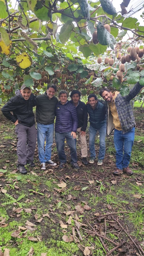 kiwis en argentina