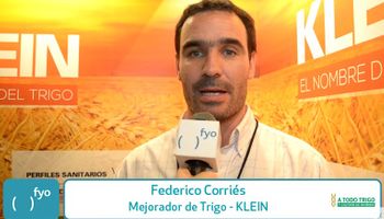 Klein, el nombre del trigo
