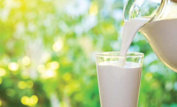 Son muchos los beneficios que genera el consumo de productos lácteos en todas las edades