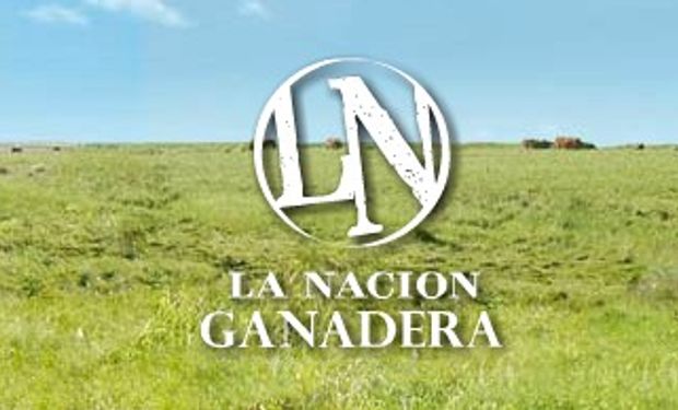 Se palpita una nueva edición de La Nación Ganadera Norte