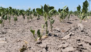 La Niña ya está en Argentina: qué puede pasar ahora con las lluvias