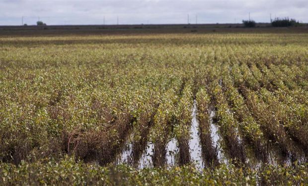 Escenario climático complejo para la producción agrícola.