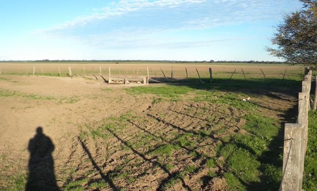 Ley de Plaguicidas: agrónomos pampeanos piden que se tengan en cuenta los fundamentos científicos