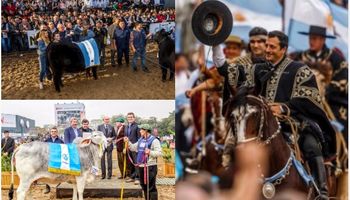 La Rural en números: estiman un impacto económico de $1300 millones