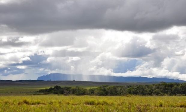 Para tranquilidad de los productores, se esperan lluvias y temperaturas normales para el próximo trimestre.