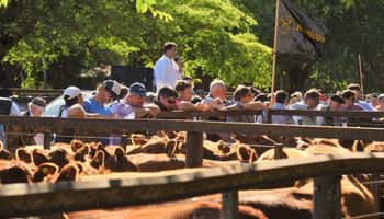 Reclamo de 14 rurales del sur: "Otra vez el campo es quien debe pagar los platos rotos del sector público"