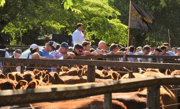 Reclamo de 14 rurales del sur: "Otra vez el campo es quien debe pagar los platos rotos del sector público"