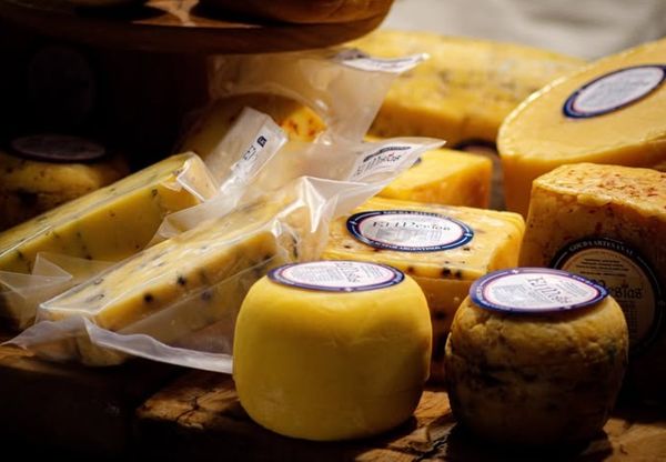 De 140 a 250 vacas: la clave para crecer en lecher&iacute;a