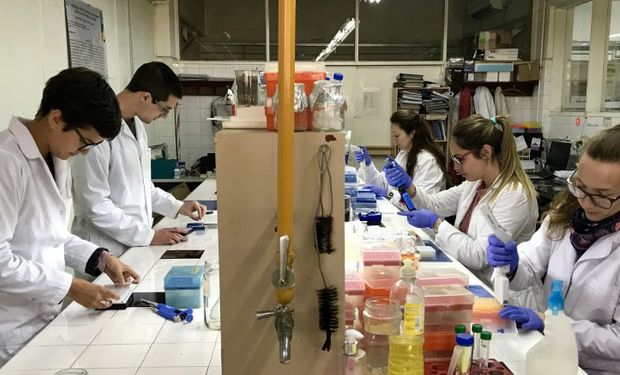 La UBA desarrolla un laboratorio biotecnológico para pymes semilleras.